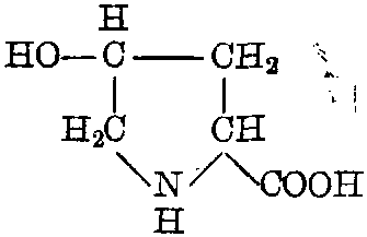 羟脯氨酸结构图片